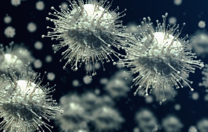 Digital representation of cancer cells