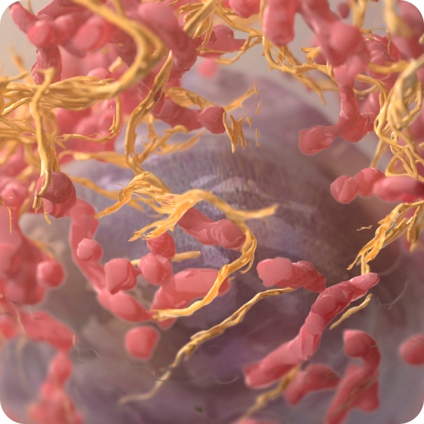 Illustration of skin cancer cells