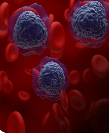 Illustration of cancerous cells in leukemia
