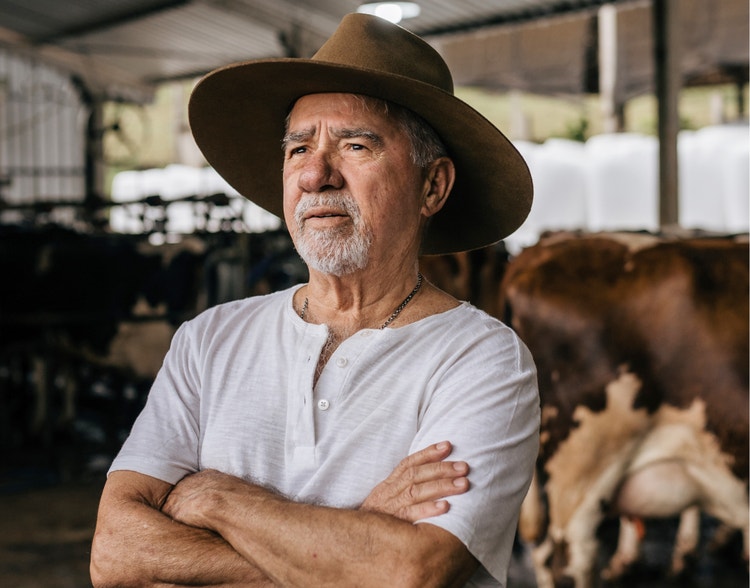 A farmer crossing his arms in front of livestock