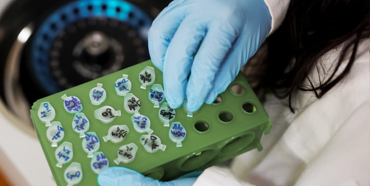 A gloved hand preparing a centrifuge